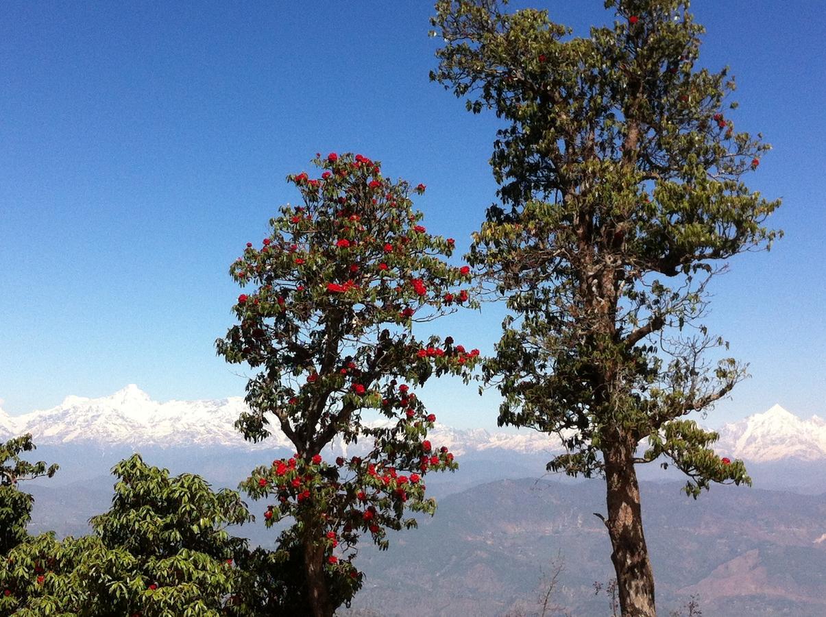 알모라 Thikalna Himalayan Retreat 빌라 외부 사진