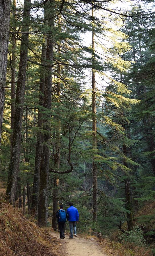 알모라 Thikalna Himalayan Retreat 빌라 외부 사진