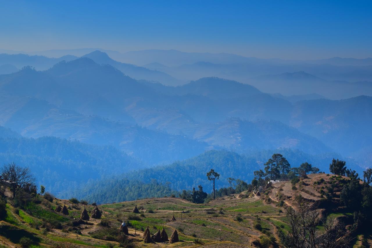 알모라 Thikalna Himalayan Retreat 빌라 외부 사진